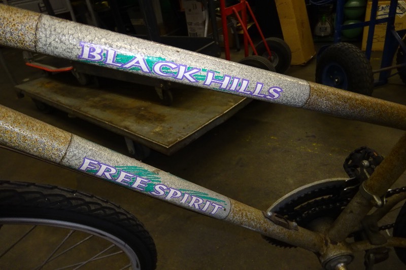 black hills free spirit bike