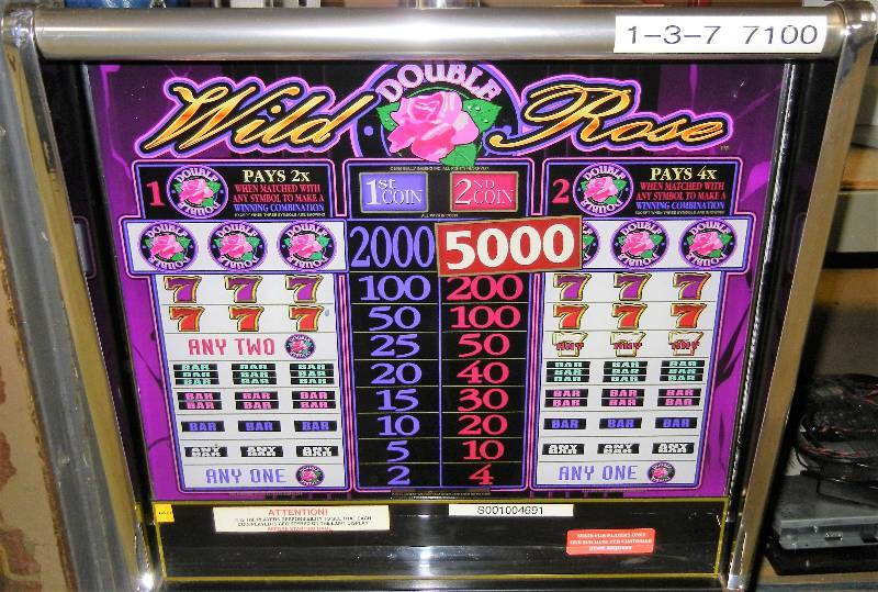 wild rose casino slot machine winning