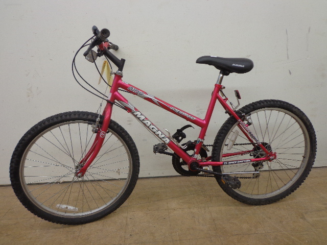 Girls Pink Magna 15 Speed Bike | Bikes 