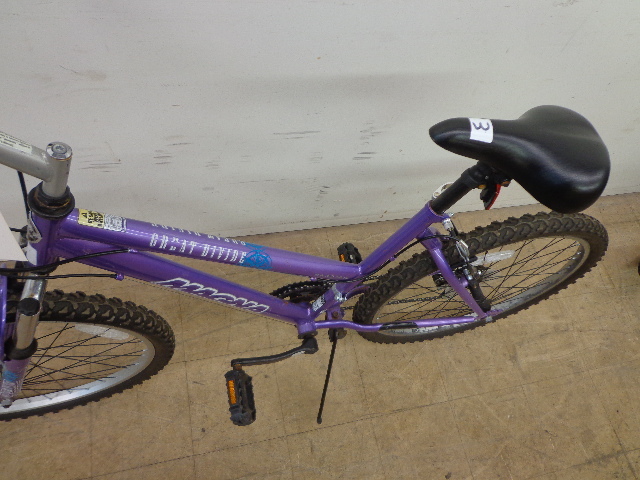 magna great divide purple