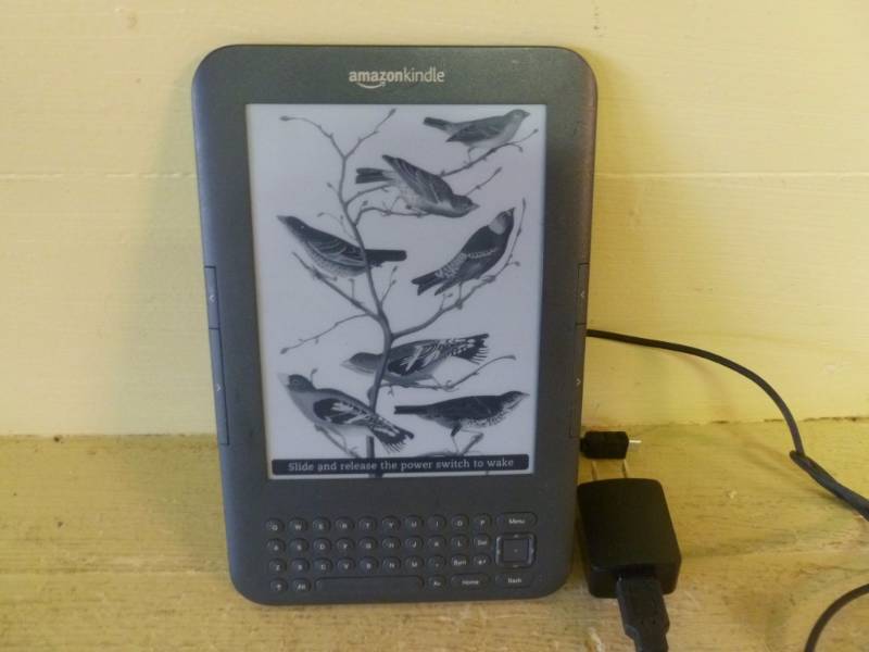 Manannah #200 Amazon Kindle, Kitchen Aid, Vikings Collectibles, Redlin