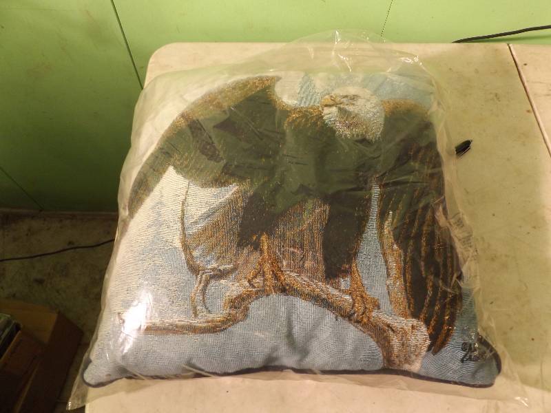 lot 95 image: Eagle Pillow