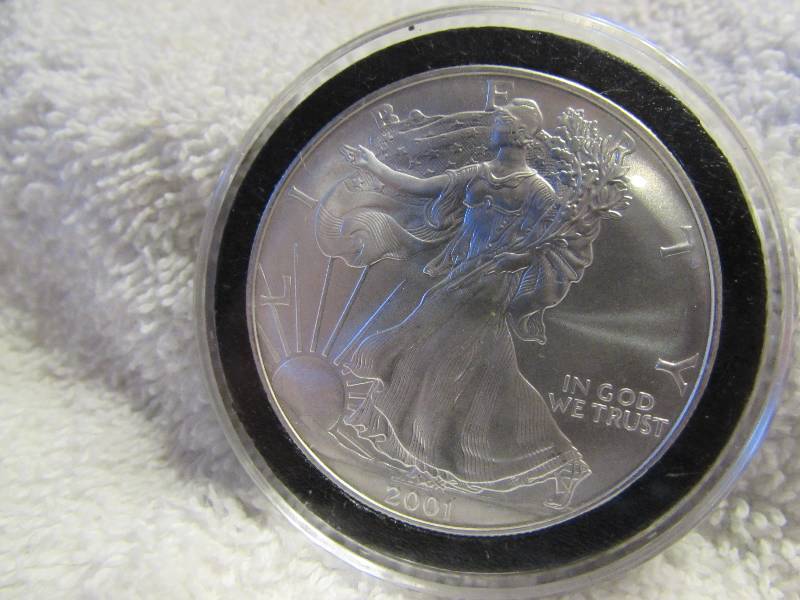 Silver Eagle