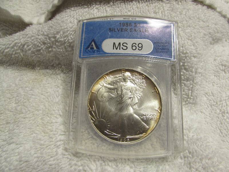 Silver Eagle