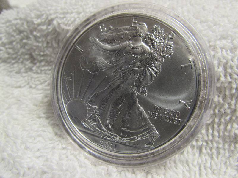 Silver Eagle