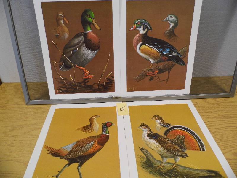 Fowl - Prints by Prunty