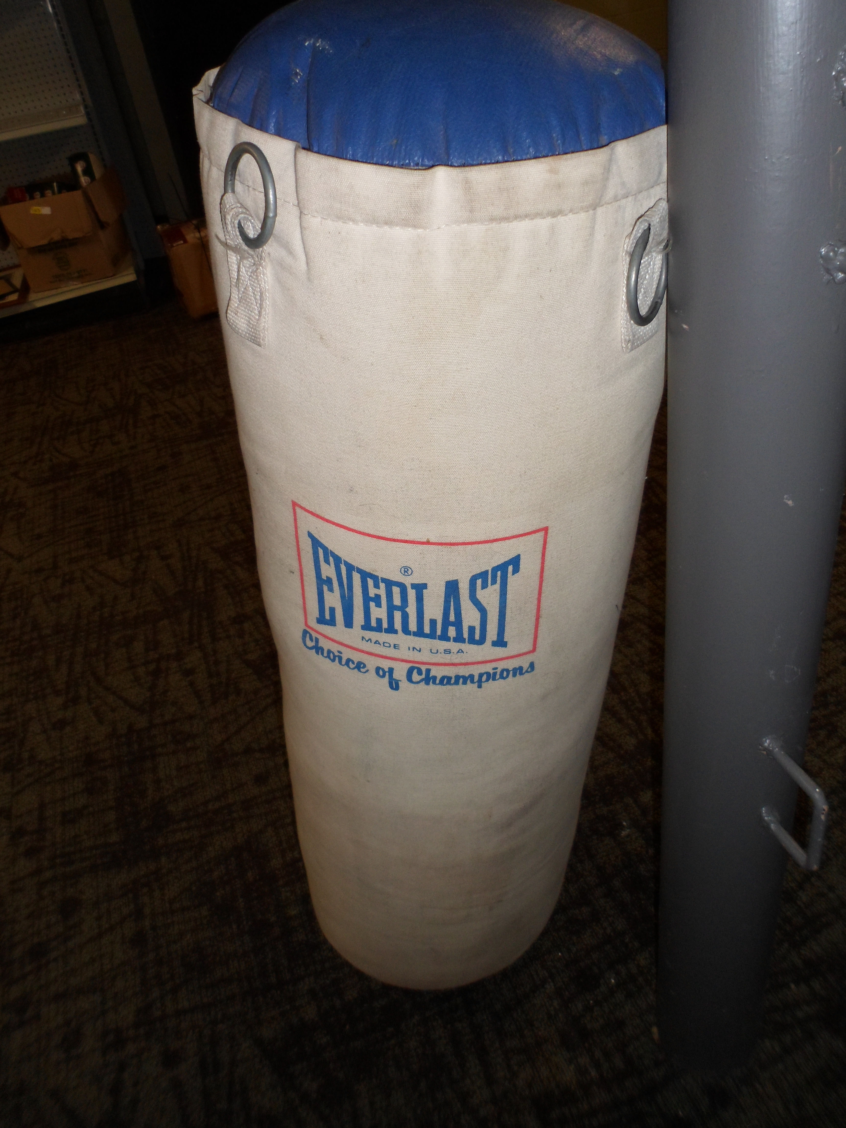 Everlast Heavy Bag...