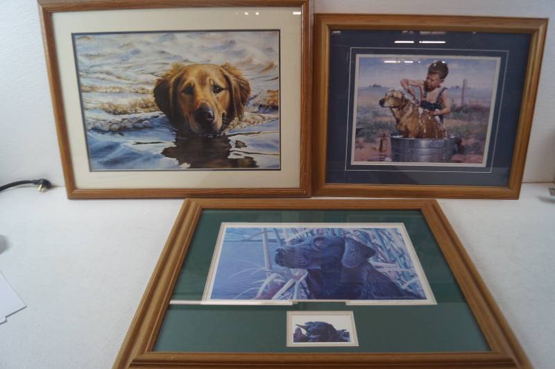 Dog Lover Paintings