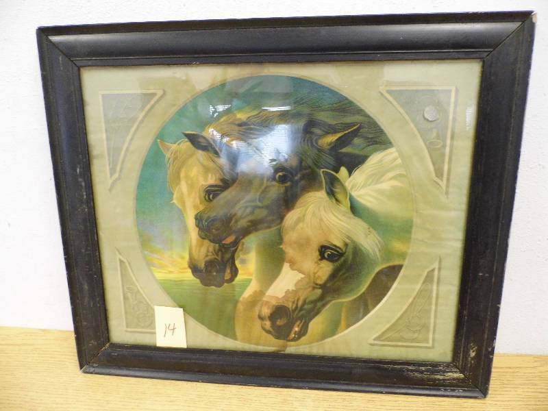 Horse Picture