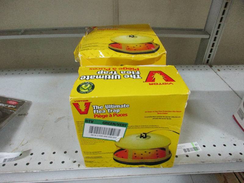 Flea Traps