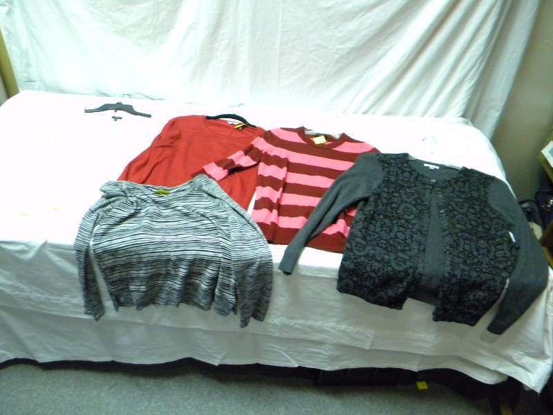 lot 326 image: Womens Tops Lot