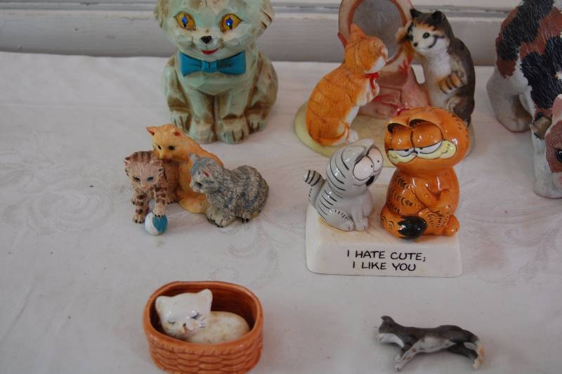 Cats