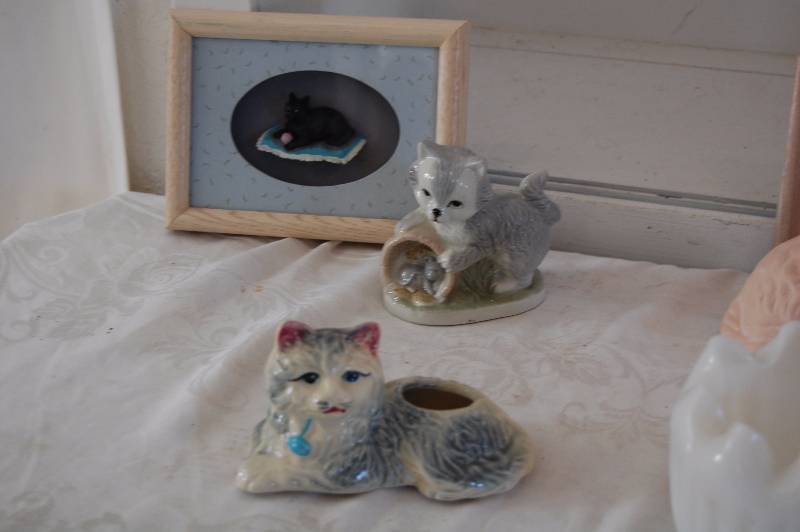 Cats