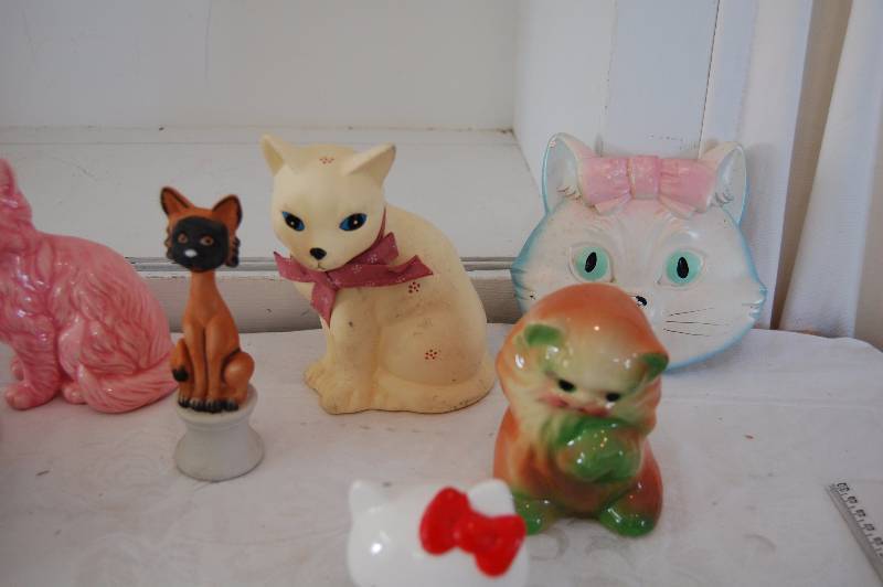 Cats