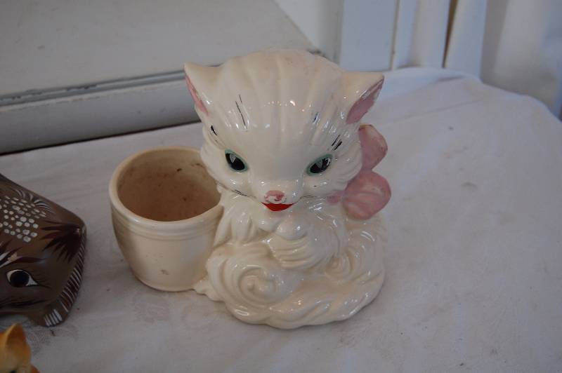 Cats