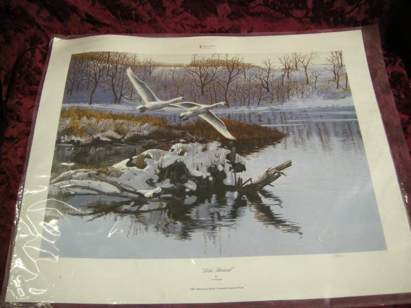 Al Stelton Wildlife Print