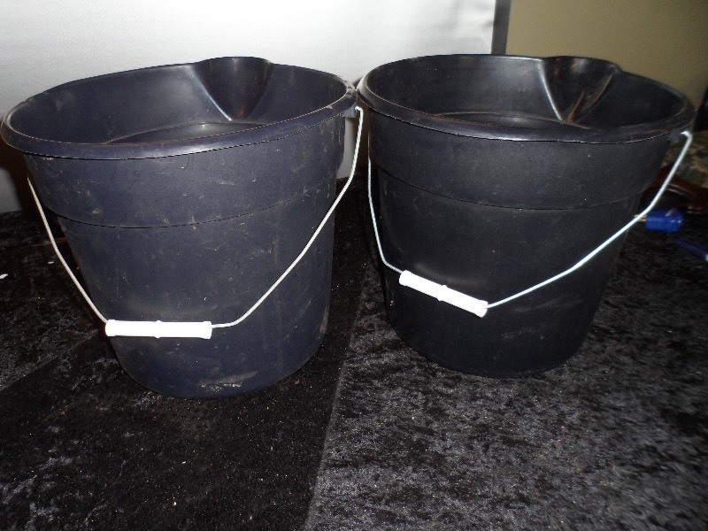 lot 70 image: 2 - 12 quart Pails