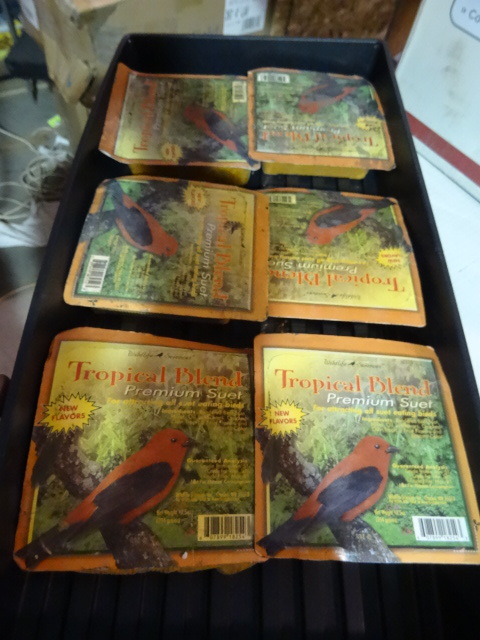 New Qty 6 Tropical Blend Premium Suet Cakes Bird Food