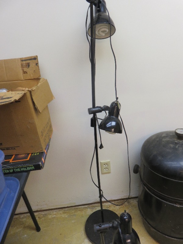lot 206 image: 2 Lamp Set