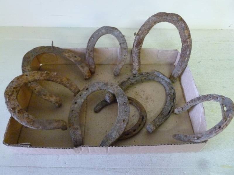 lot 15 image: Vintage Horse Equipment