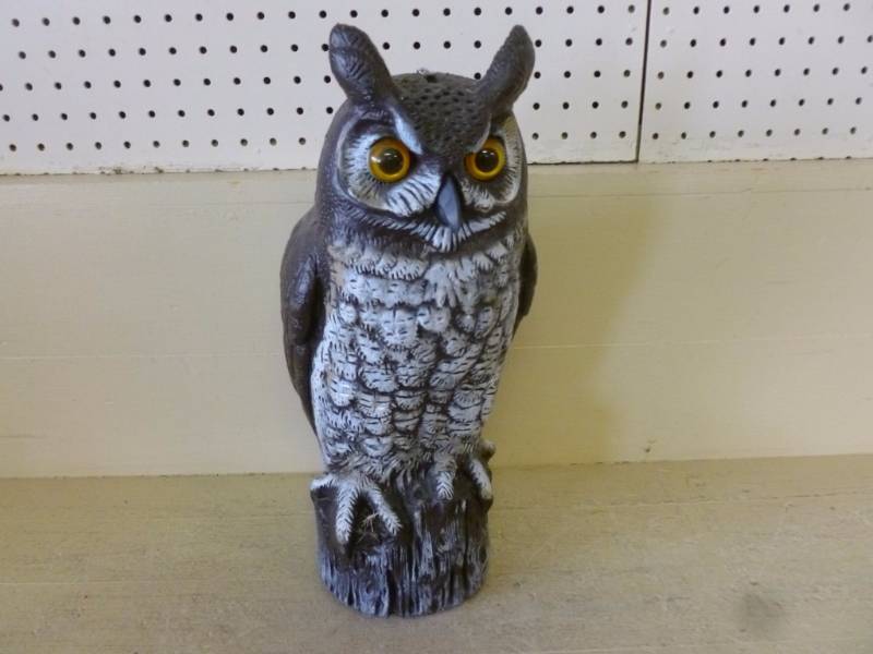 lot 79 image: Owl Decoy