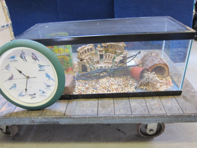 Terrarium and Clock