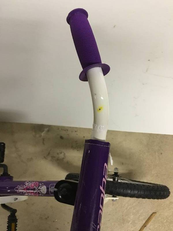 Piranha Teeny Lady Girls 16 Single Speed Bike