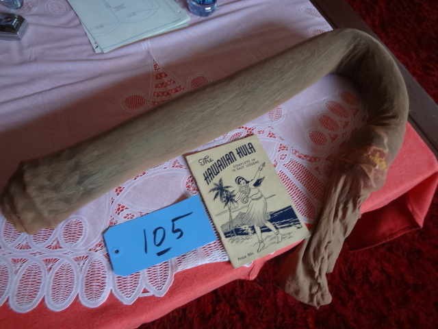 lot 105 image: Hula Skirt and directions on how to use it