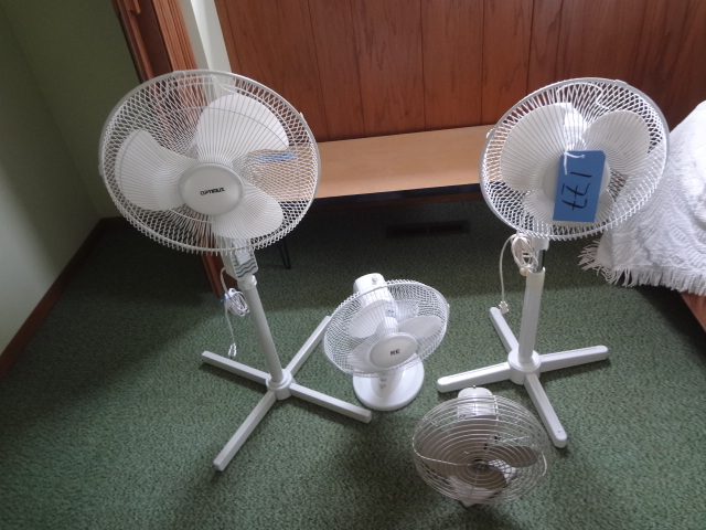 lot 177 image: Four Fans