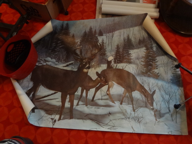 lot 204 image: Huge Nature Scene Wall Papers, Movie Posters