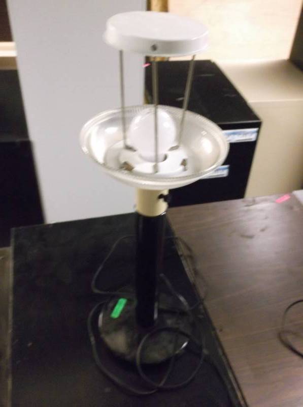 Lamp