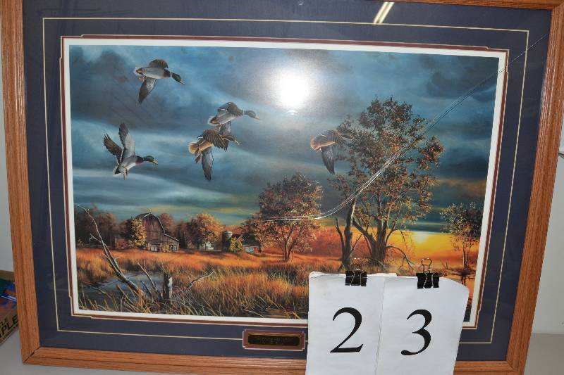 lot 23 image: Duck Picture