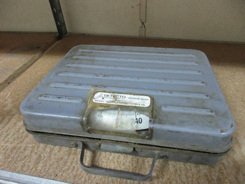 Detecto scale