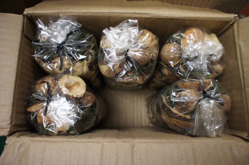 lot 820 image: Potpourri Gardenia