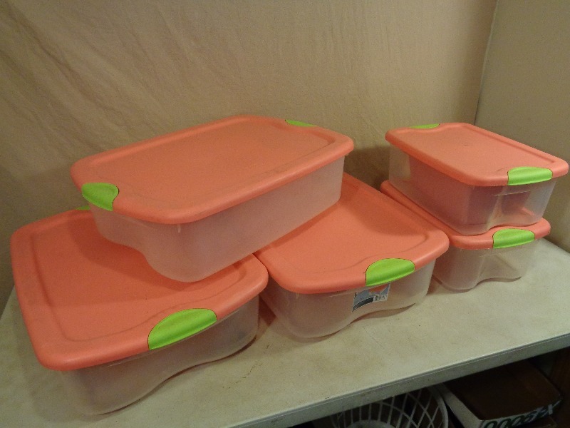 5 Totes with Lids