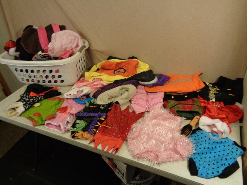 Pet Outfits and Accessories