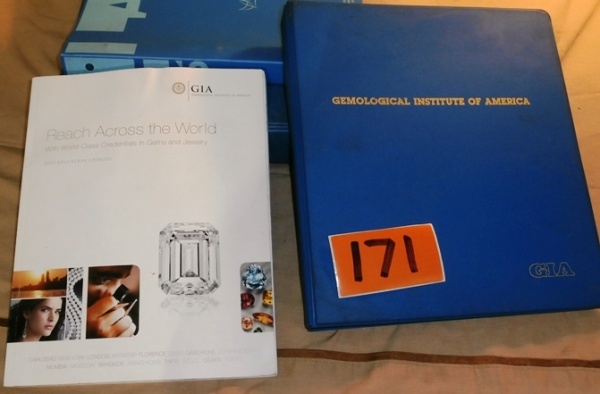 lot 171 image: Gemological Institute of America, Gem Identification Course