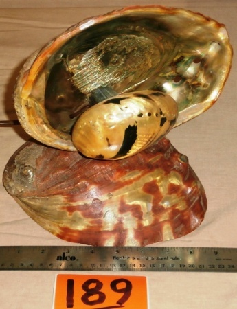 lot 189 image: Awesome Vintage Abalone Shell Lamp