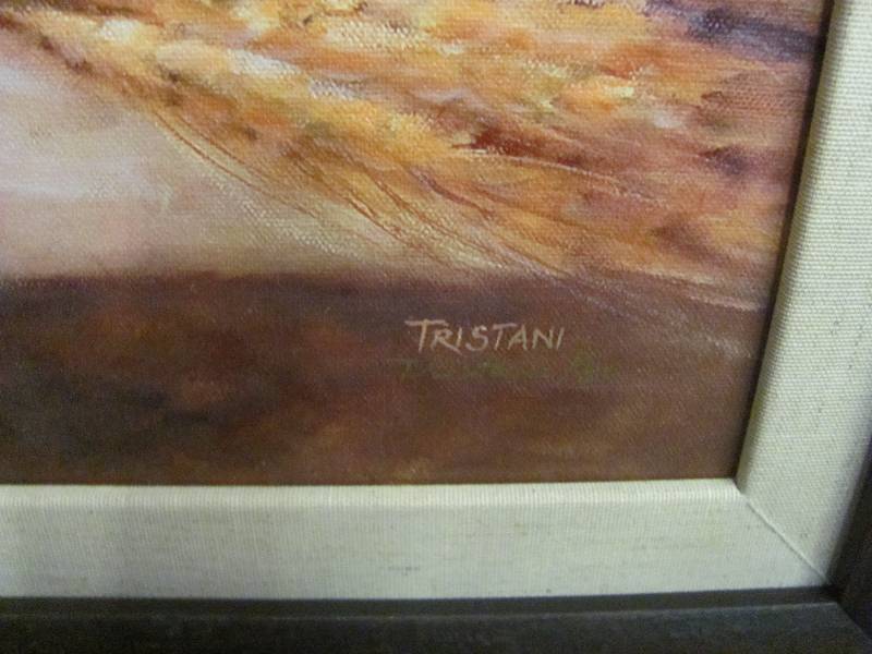 Framed Artwork