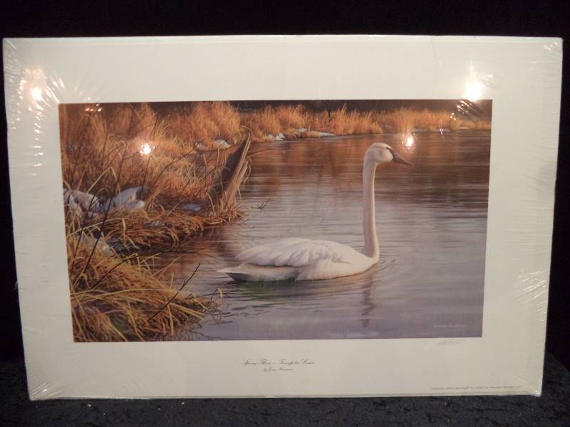 lot 24 image: James Hautman Spring Thaw - Trumpeter Swans