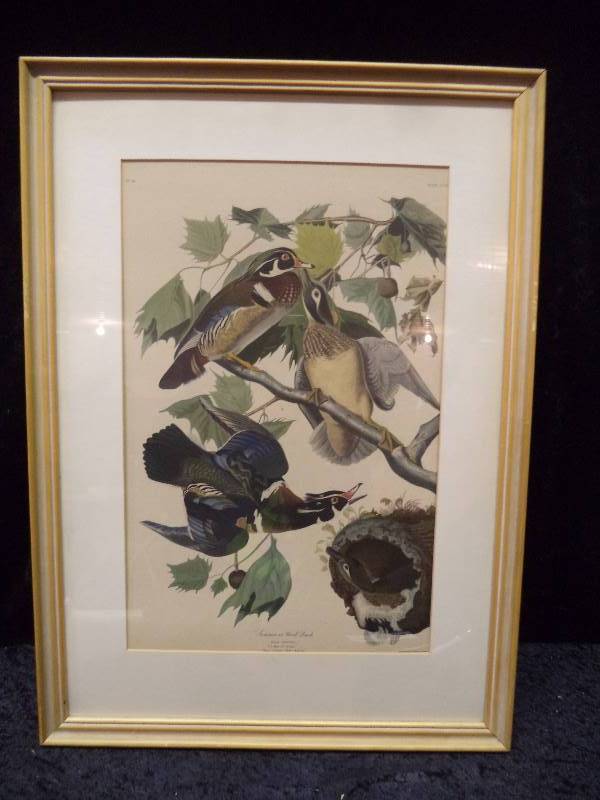 lot 34 image: Framed Wood Ducks