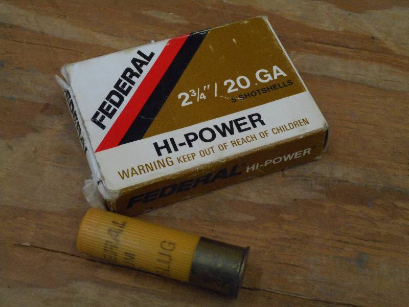 (5) Federal 20-Gauge Rifled Slugs ...