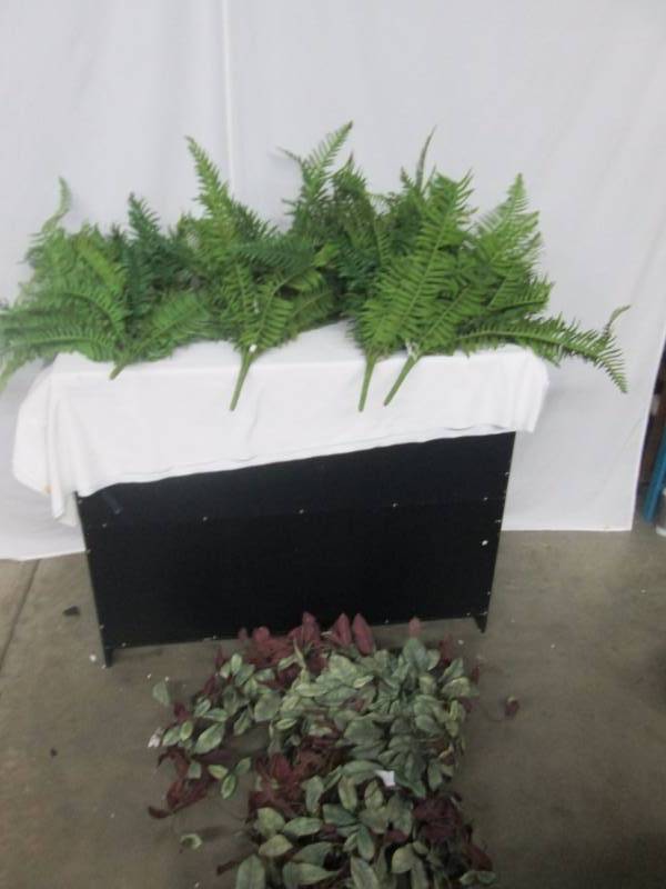 Box Fake Ferns