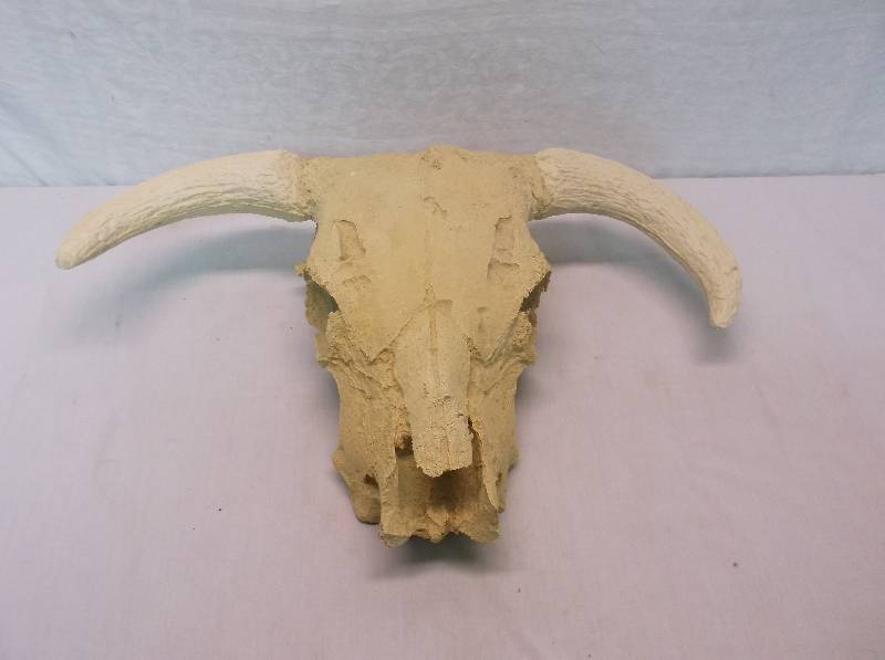 Bull Skull