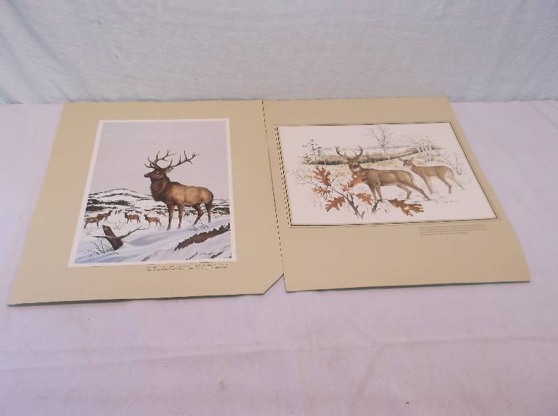 Prints
