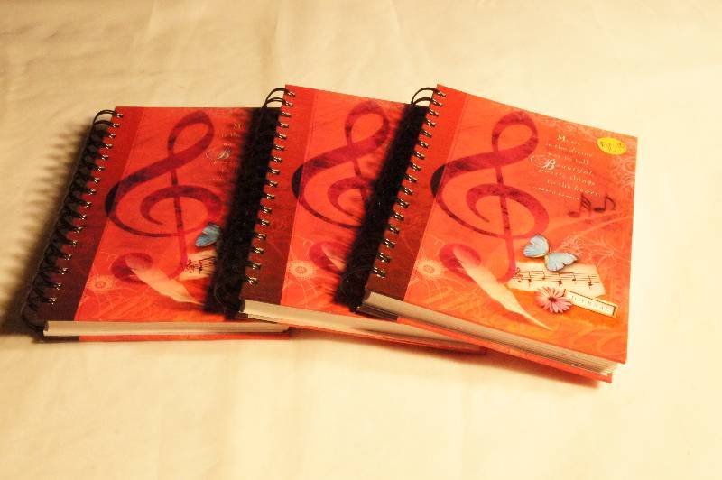 lot 419 image: 3 identical journals that say Music is the divine way to tell Beautiful, Poetic things to the heart. -Pablo Casals
