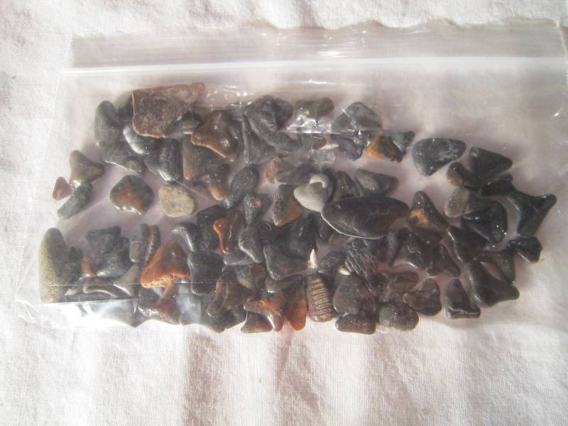 lot 617 image: Bag of Sharks Teeth