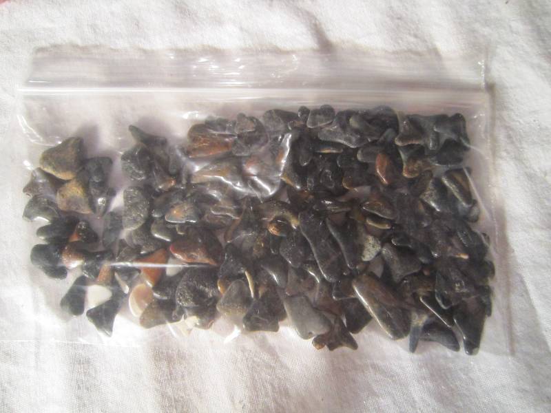 lot 618 image: Bag of Sharks Teeth
