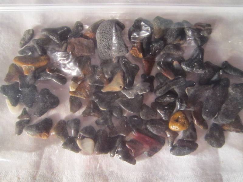 lot 620 image: Bag of Sharks Teeth