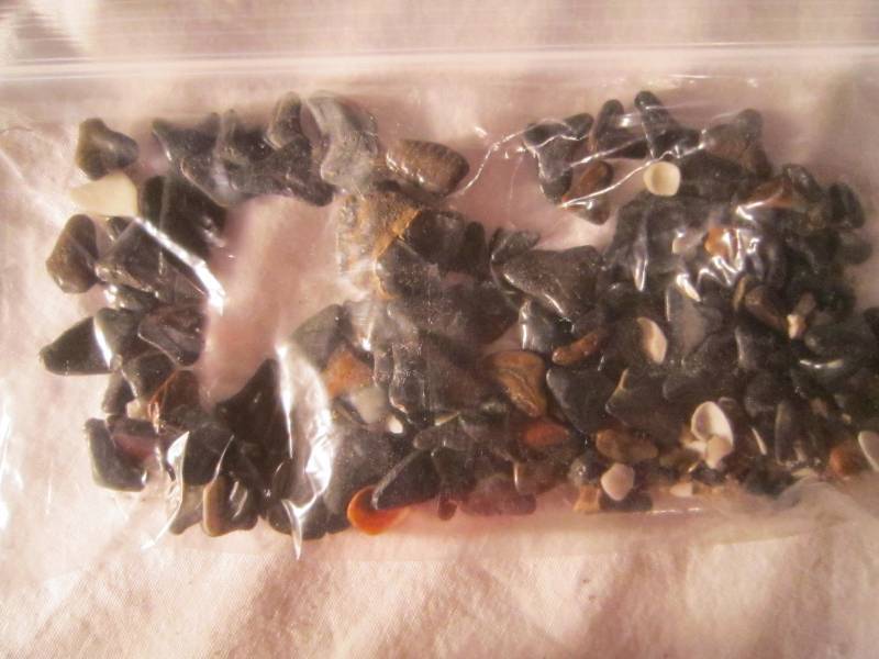 lot 622 image: Bag of Sharks Teeth